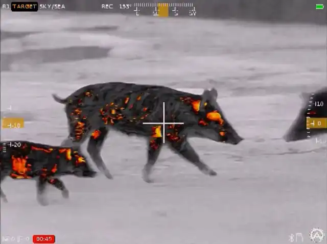 Contractor 320 3-12x25 Thermal Weapon Sight - image 12