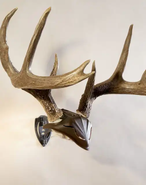 Bone Bracket® / Skull Cap Combo - image 4