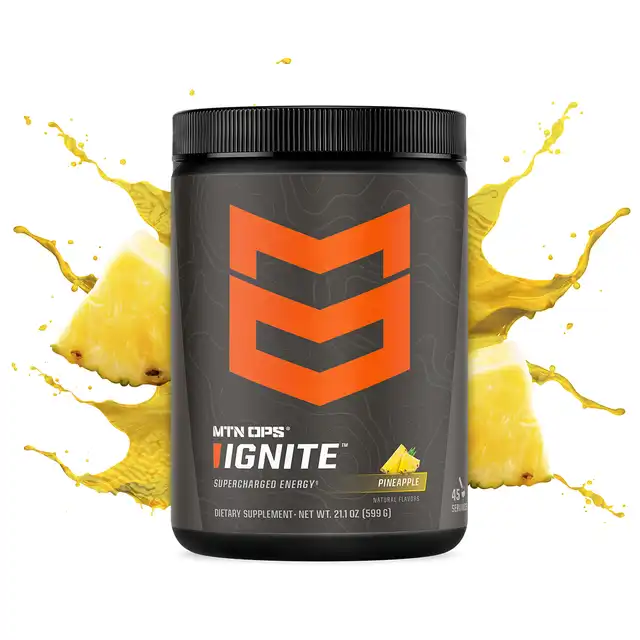 IGNITE - image 2
