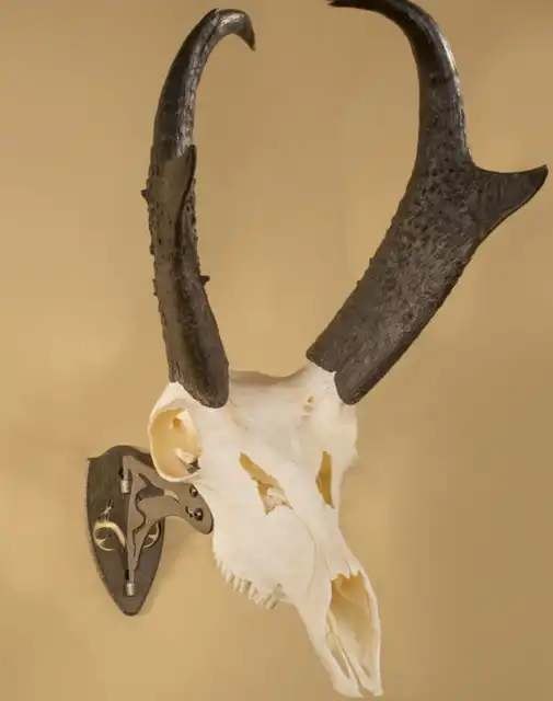 REALTREE® Edition Little Hooker® - image 8