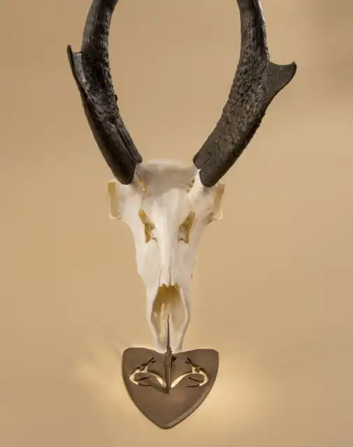 REALTREE® Edition Table Hooker - image 6