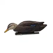 Thumbnail of Topflight Black Ducks, image 3