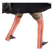 Thumbnail of HDR Strutter, image 4