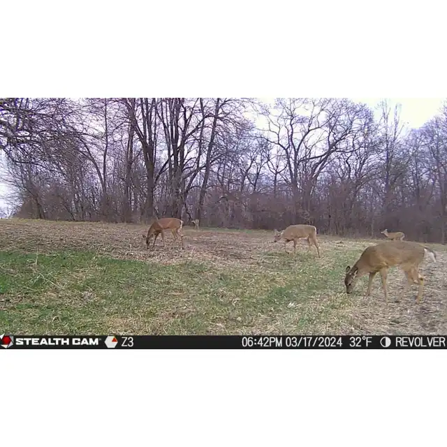 Revolver 360° Cellular Trail Camera - image 11