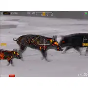 Thumbnail of Contractor 640 4.8-19.2x75 Thermal Weapon Sight, image 28