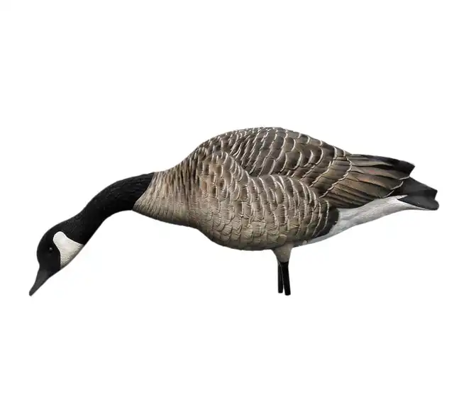 AXP Honkers: Feeder Pack