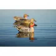 Thumbnail of HydroFoam Green-Winged Teal 6 Pack, image 16