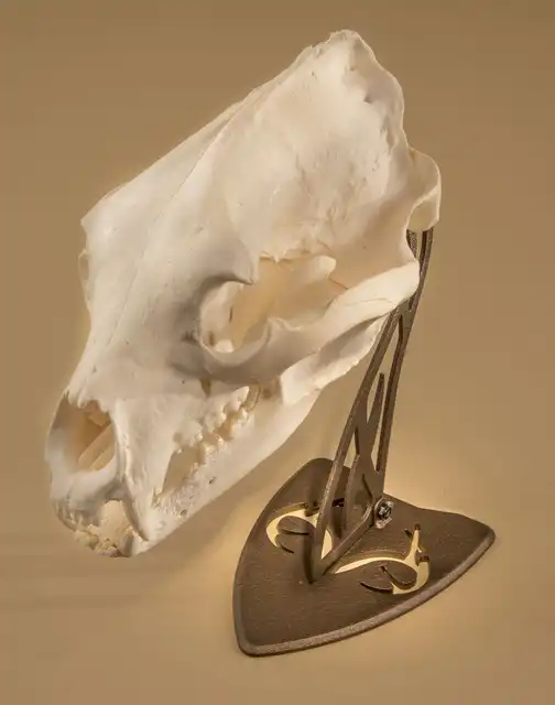 REALTREE® Edition Table Hooker - image 4