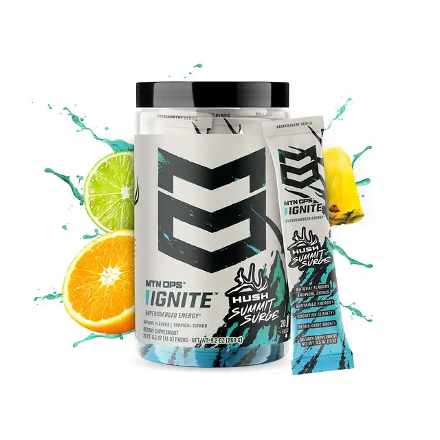 IGNITE - image 9