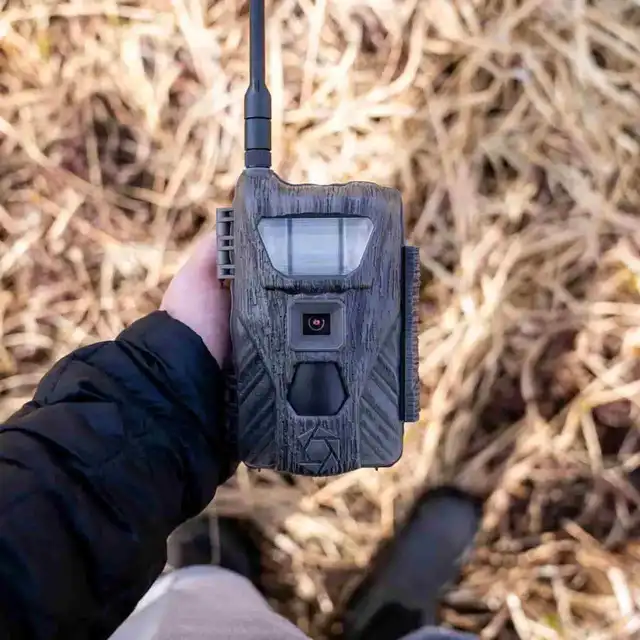 Flashback White Flash Cellular Trail Camera - image 5