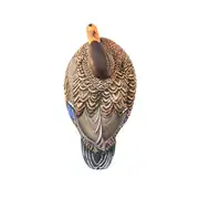 Thumbnail of HydroFoam Mallard 6 Pack, image 16
