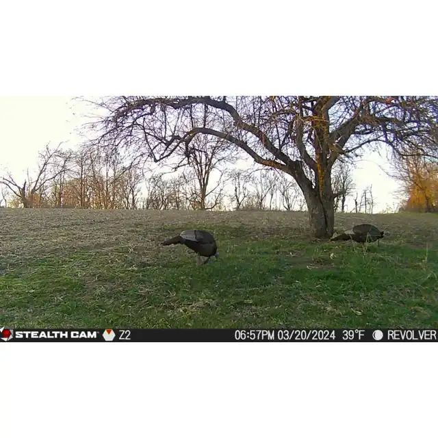 Revolver 360° Cellular Trail Camera - image 9