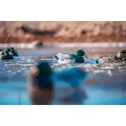 Thumbnail of HydroFoam Mallard 6 Pack, image 26
