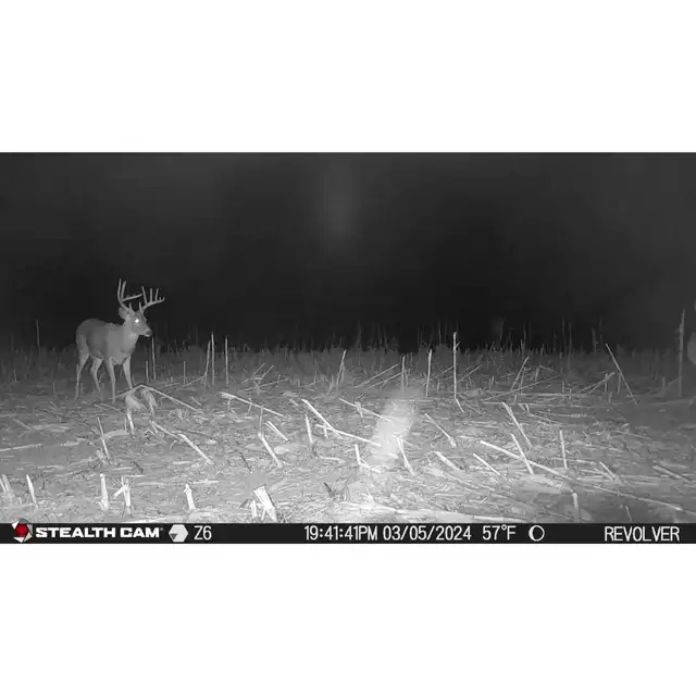 Revolver 360° Cellular Trail Camera - image 7