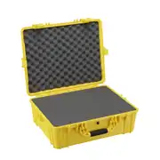 Thumbnail of 25" Large Case #839, image 12