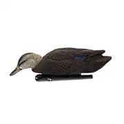 Thumbnail of Topflight Black Ducks, image 2