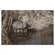 Thumbnail of DU FLOATING BLIND BAG, image 10
