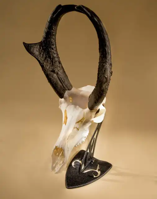 REALTREE® Edition Table Hooker - image 9