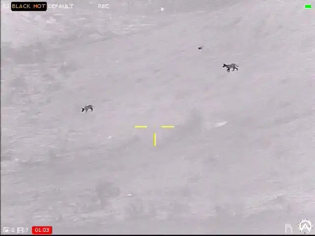 Contractor 320 6-24x50 Thermal Weapon Sight - image 41