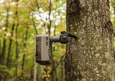 Speedmount - image 2