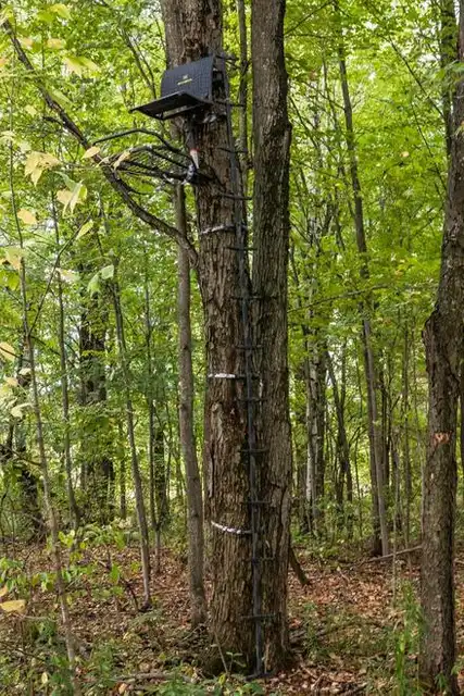 Traction 20 Feet Climbing Stick - image 3