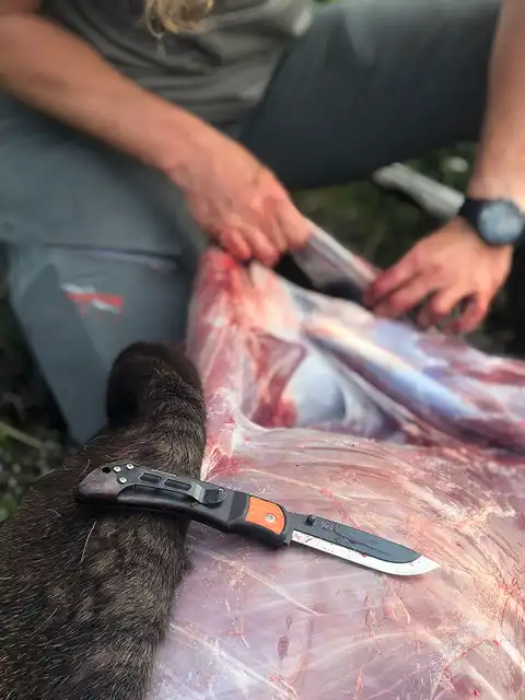 3.5" RazorLite™ EDC - image 8