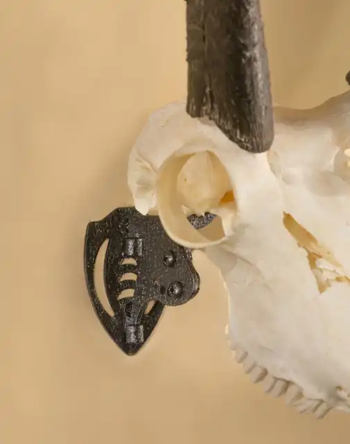 Mini Hooker - image 3