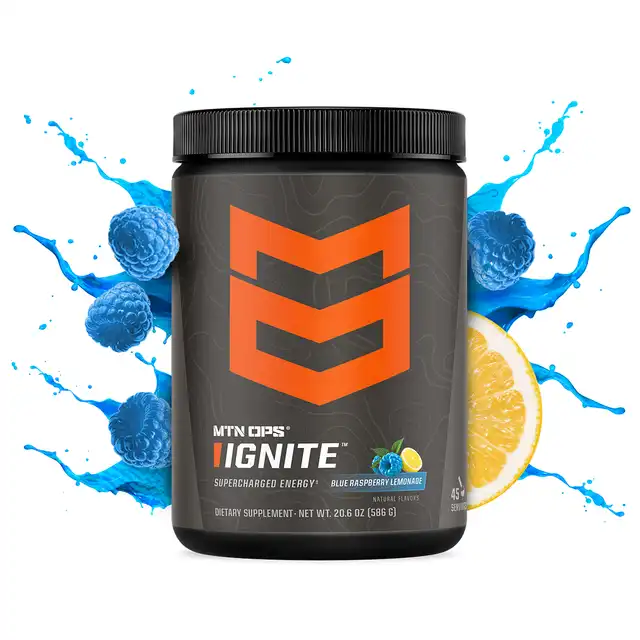 IGNITE - image 6