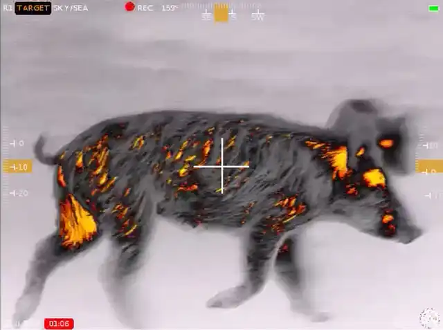 Contractor 320 3-12x25 Thermal Weapon Sight - image 53