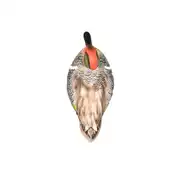 Thumbnail of HydroFoam Green-Winged Teal 6 Pack, image 10