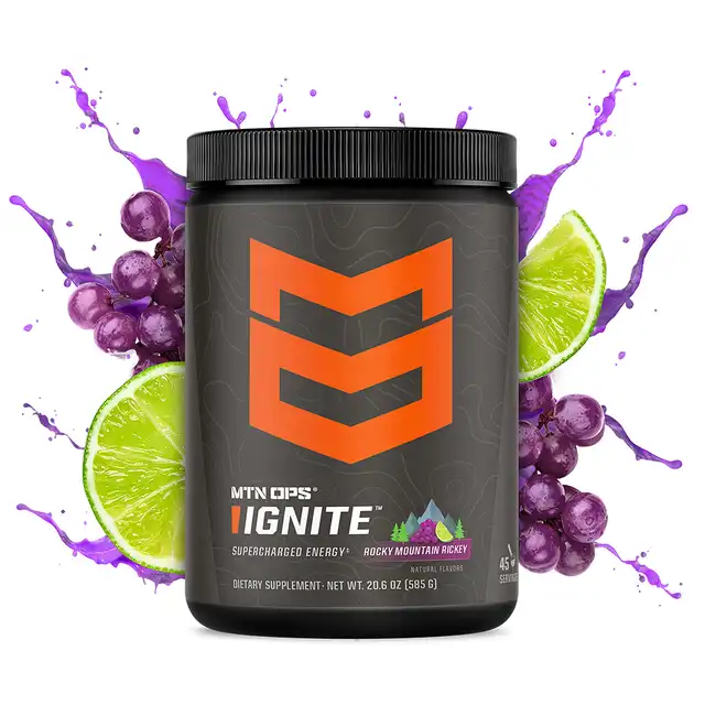 IGNITE - image 15