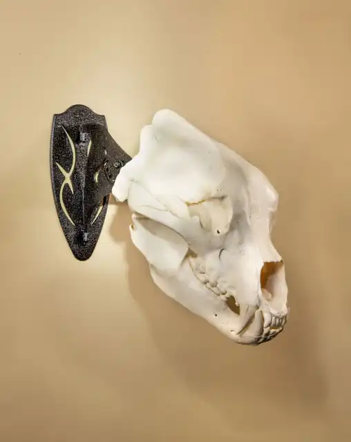 Big Hooker® Short Arm Accessory - image 6