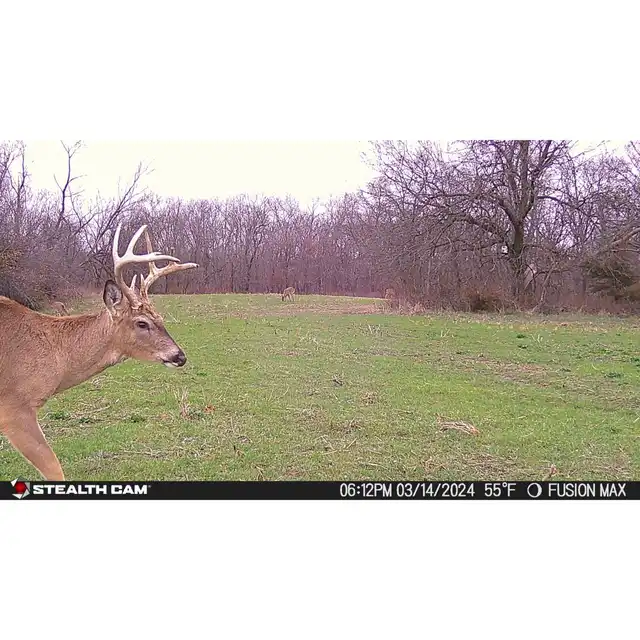 Fusion™ Max Cellular Trail Camera - image 9