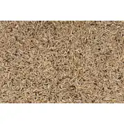Thumbnail of THROW & GRO WITH CLOVER - 5LB, image 4