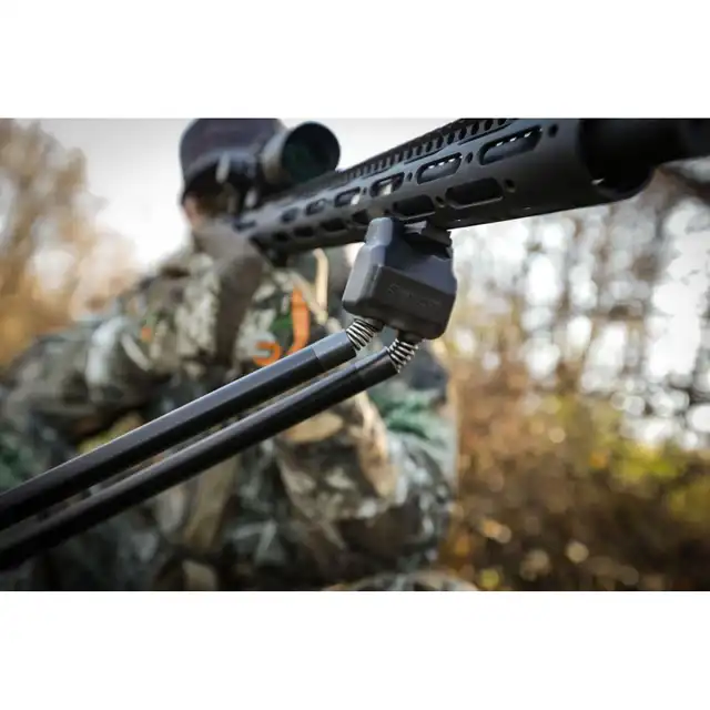 Stalker QD42 - image 3