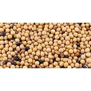 Thumbnail of MEAN BEAN™ PRO - 10LB, image 4