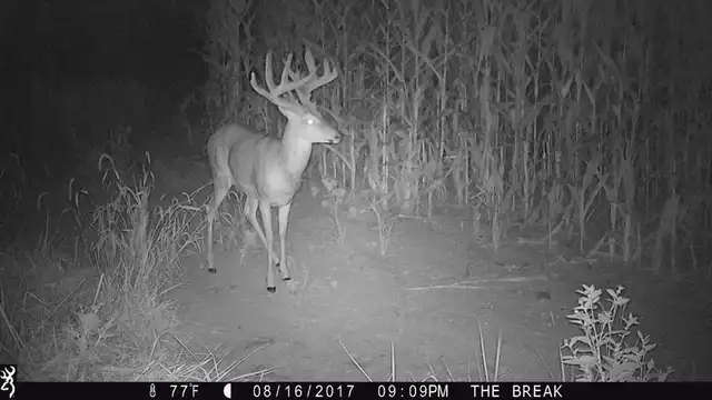 Strike Force HD Extreme - image 4