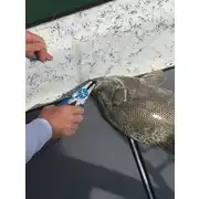 Thumbnail of 7.5" MONO/BRAID FISHING PLIERS & WIRE CUTTERS, image 9