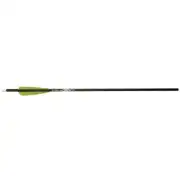 Thumbnail of TrueX 22" Crossbow Bolts, image 1