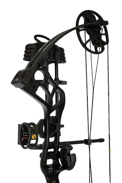 Shootout RTH - image 6