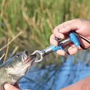 Thumbnail of FISH LIP GRIPPER, image 5