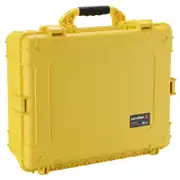 Thumbnail of 25" Large Case #839, image 11
