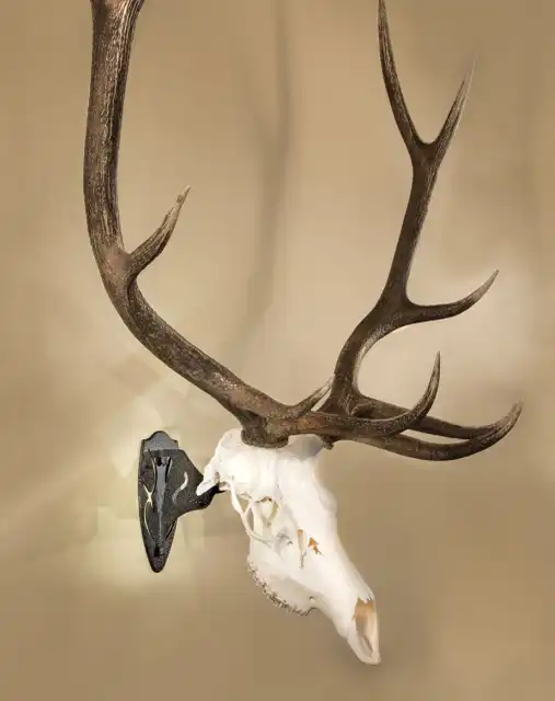 Big Hooker® Short Arm Accessory - image 3