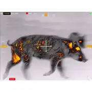 Thumbnail of Contractor 640 4.8-19.2x75 Thermal Weapon Sight, image 54