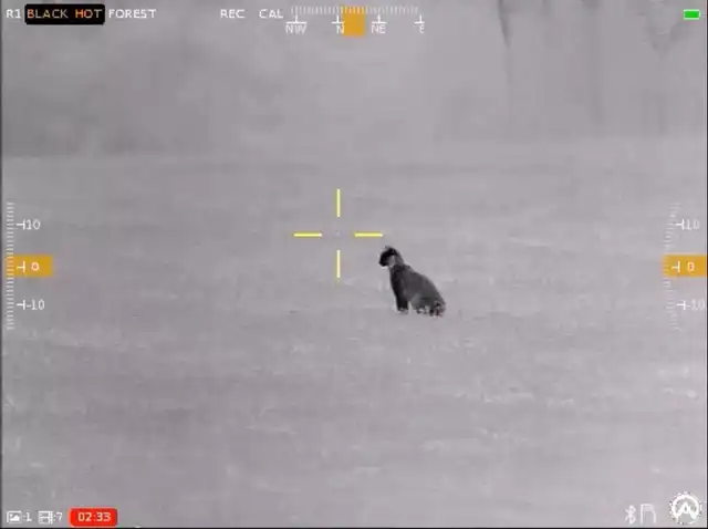 Contractor 320 3-12x25 Thermal Weapon Sight - image 47