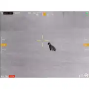 Thumbnail of Contractor 640 4.8-19.2x75 Thermal Weapon Sight, image 48