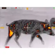 Thumbnail of Contractor 640 4.8-19.2x75 Thermal Weapon Sight, image 51