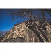 Thumbnail of DOGHOUSE EXTREME, image 6