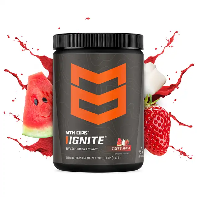 IGNITE - image 5