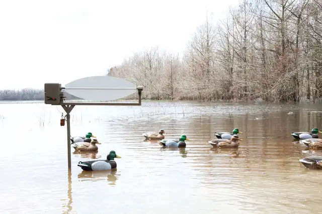 MOJO® Big Blade - image 3